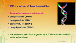 • DNA is a polymer of deoxyribonucleotides
• Composed of monomeric units namely
• Deoxyadenylate (dAMP)
• Deoxyguanylate (...