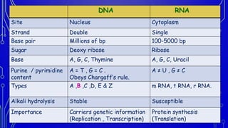 DNA RNA
Site Nucleus Cytoplasm
Strand Double Single
Base pair Millions of bp 100-5000 bp
Sugar Deoxy ribose Ribose
Base A,...