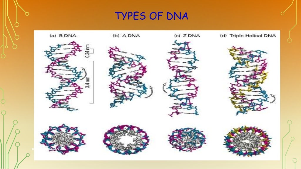 Nucleic acid structure