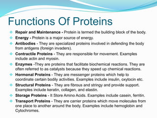 Functions Of Proteins
 Repair and Maintenance - Protein is termed the building block of the body.
 Energy - Protein is a major source of energy.
 Antibodies - They are specialized proteins involved in defending the body
from antigens (foreign invaders).
 Contractile Proteins - They are responsible for movement. Examples
include actin and myosin.
 Enzymes -They are proteins that facilitate biochemical reactions. They are
often referred to as catalysts because they speed up chemical reactions.
 Hormonal Proteins - They are messenger proteins which help to
coordinate certain bodily activities. Examples include insulin, oxytocin etc.
 Structural Proteins - They are fibrous and stringy and provide support.
Examples include keratin, collagen, and elastin.
 Storage Proteins - It Store Amino Acids. Examples include casein, ferritin.
 Transport Proteins - They are carrier proteins which move molecules from
one place to another around the body. Examples include hemoglobin and
Cytochromes.
 