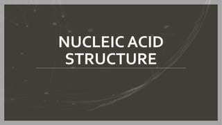 NUCLEIC ACID
STRUCTURE
 