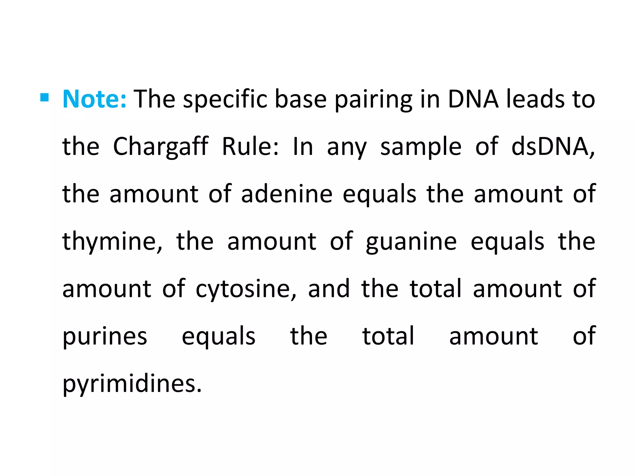  Note: The specific base pairing in DNA leads to
the Chargaff Rule: In any sample of dsDNA,
the amount of adenine equals the amount of
thymine, the amount of guanine equals the
amount of cytosine, and the total amount of
purines equals the total amount of
pyrimidines.
 