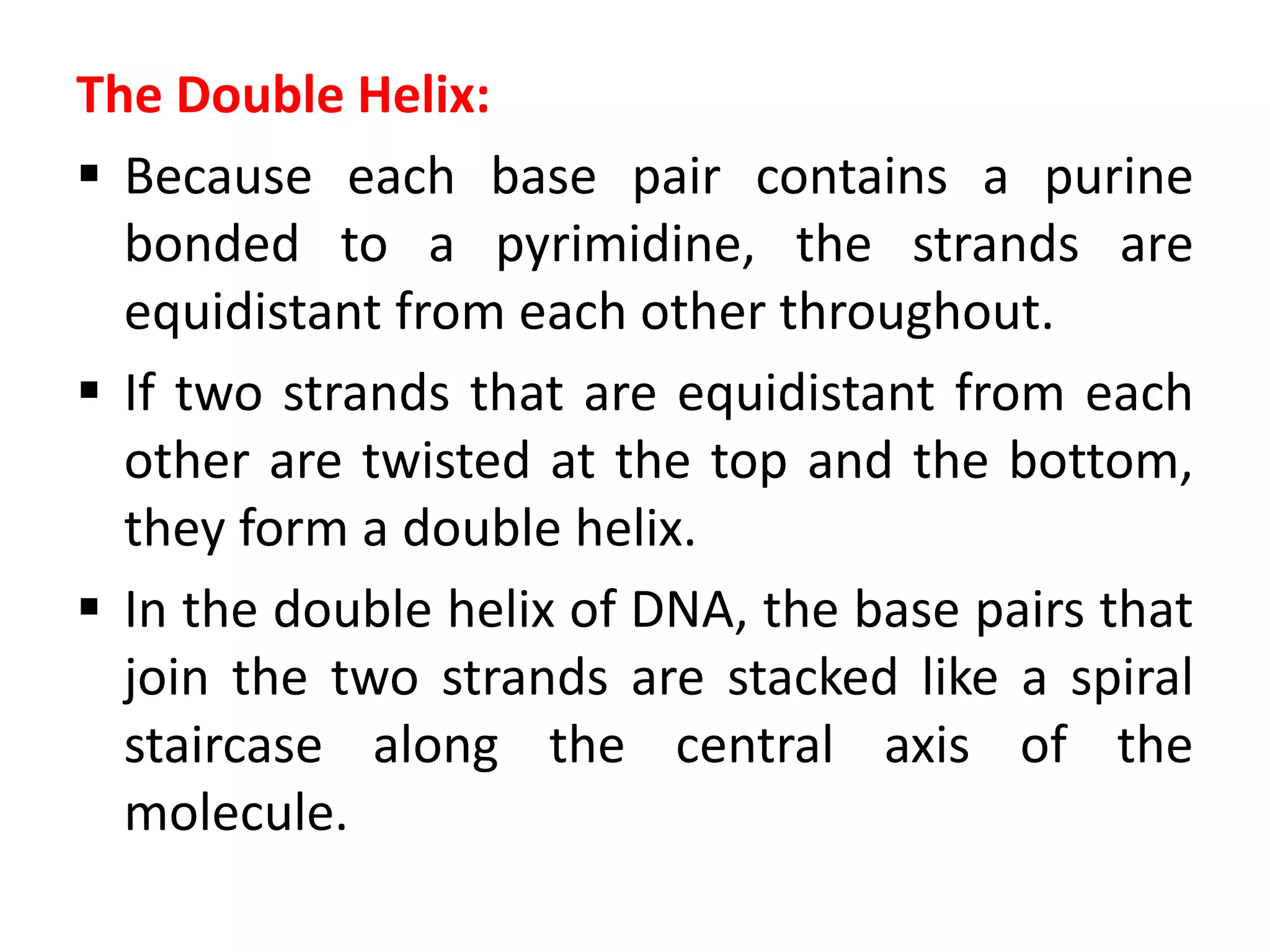 The Double Helix:
 Because each base pair contains a purine
bonded to a pyrimidine, the strands are
equidistant from each other throughout.
 If two strands that are equidistant from each
other are twisted at the top and the bottom,
they form a double helix.
 In the double helix of DNA, the base pairs that
join the two strands are stacked like a spiral
staircase along the central axis of the
molecule.
 