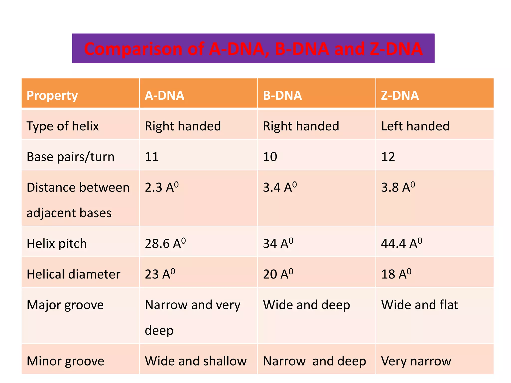 Property A-DNA B-DNA Z-DNA
Type of helix Right handed Right handed Left handed
Base pairs/turn 11 10 12
Distance between
adjacent bases
2.3 A0 3.4 A0 3.8 A0
Helix pitch 28.6 A0 34 A0 44.4 A0
Helical diameter 23 A0 20 A0 18 A0
Major groove Narrow and very
deep
Wide and deep Wide and flat
Minor groove Wide and shallow Narrow and deep Very narrow
Comparison of A-DNA, B-DNA and Z-DNA
 