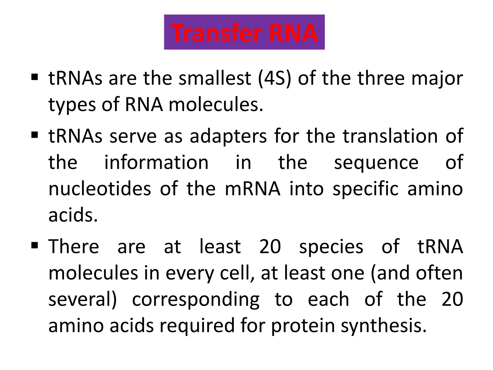 Transfer RNA
 tRNAs are the smallest (4S) of the three major
types of RNA molecules.
 tRNAs serve as adapters for the translation of
the information in the sequence of
nucleotides of the mRNA into specific amino
acids.
 There are at least 20 species of tRNA
molecules in every cell, at least one (and often
several) corresponding to each of the 20
amino acids required for protein synthesis.
 