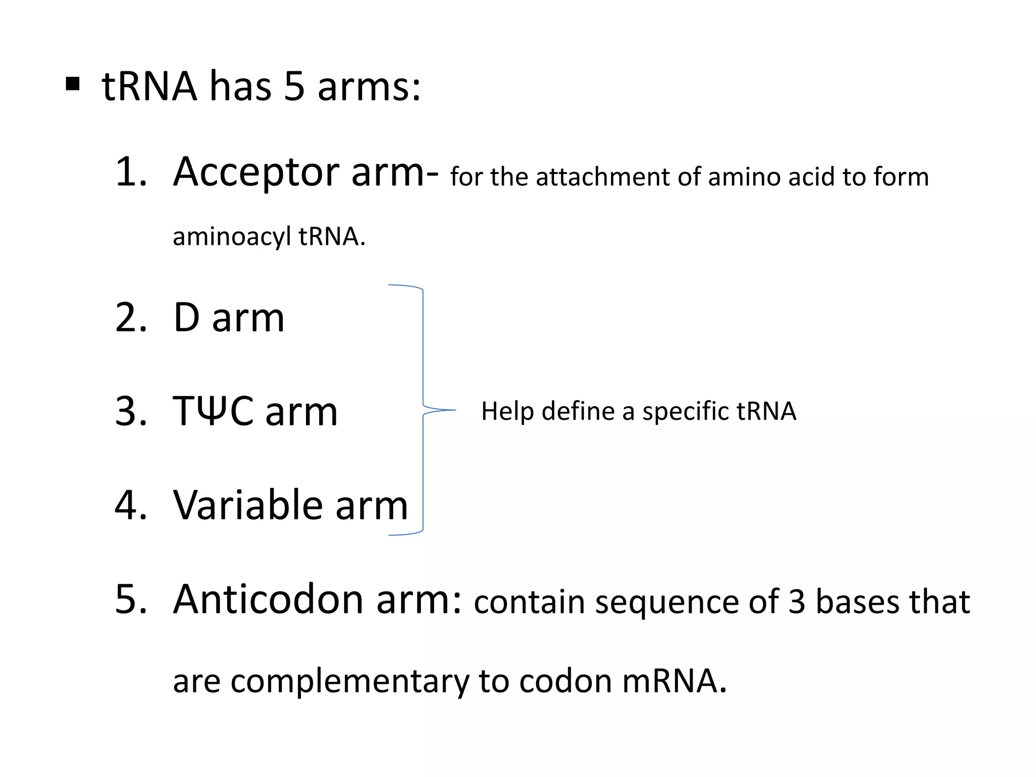  tRNA has 5 arms:
1. Acceptor arm- for the attachment of amino acid to form
aminoacyl tRNA.
2. D arm
3. TΨC arm
4. Variable arm
5. Anticodon arm: contain sequence of 3 bases that
are complementary to codon mRNA.
Help define a specific tRNA
 