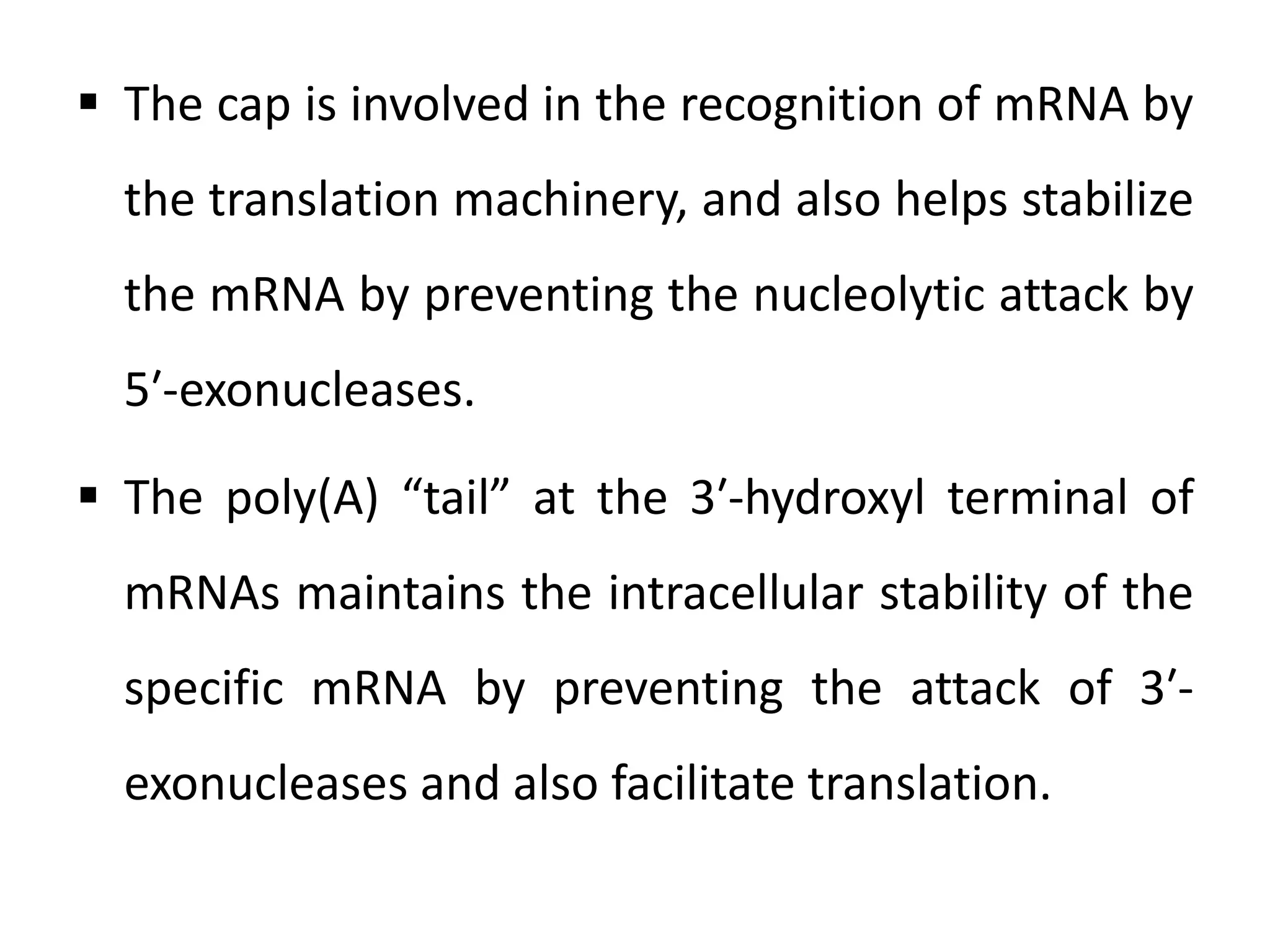  The cap is involved in the recognition of mRNA by
the translation machinery, and also helps stabilize
the mRNA by preventing the nucleolytic attack by
5′-exonucleases.
 The poly(A) “tail” at the 3′-hydroxyl terminal of
mRNAs maintains the intracellular stability of the
specific mRNA by preventing the attack of 3′-
exonucleases and also facilitate translation.
 