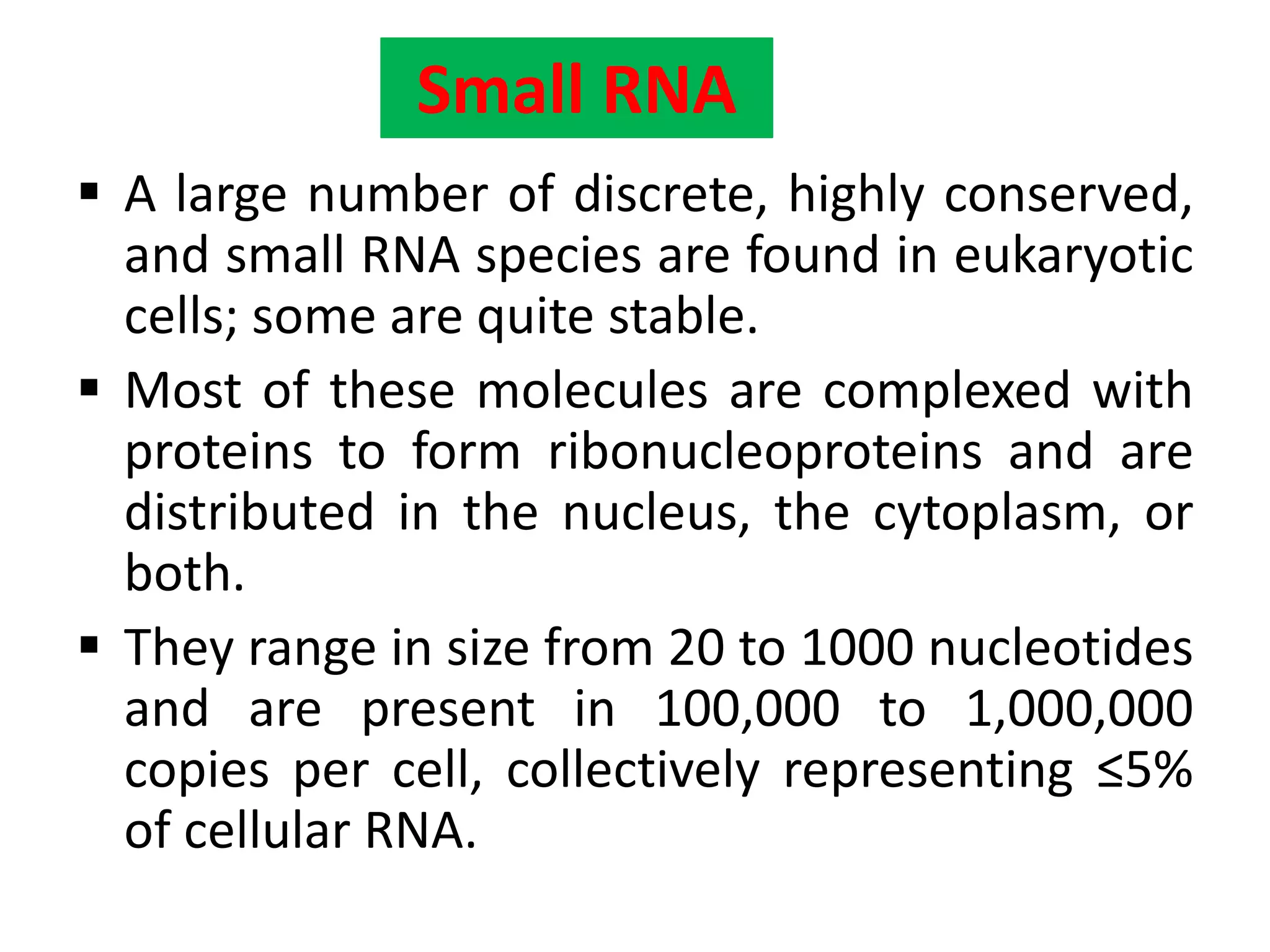 Small RNA
 A large number of discrete, highly conserved,
and small RNA species are found in eukaryotic
cells; some are quite stable.
 Most of these molecules are complexed with
proteins to form ribonucleoproteins and are
distributed in the nucleus, the cytoplasm, or
both.
 They range in size from 20 to 1000 nucleotides
and are present in 100,000 to 1,000,000
copies per cell, collectively representing ≤5%
of cellular RNA.
 