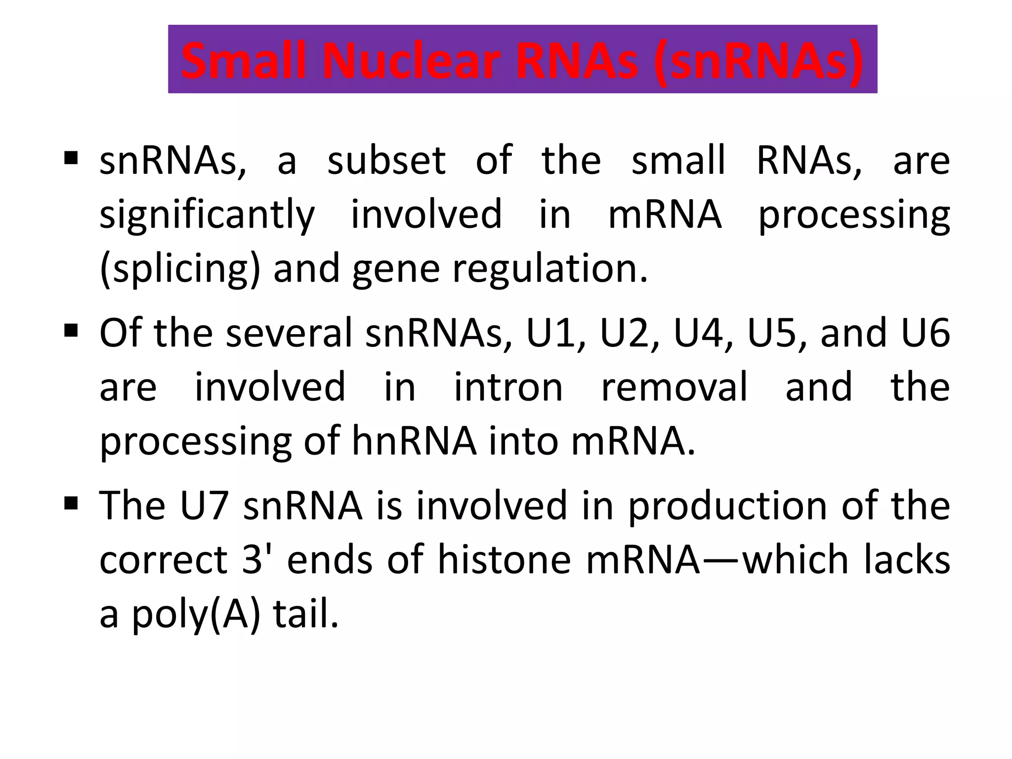 Small Nuclear RNAs (snRNAs)
 snRNAs, a subset of the small RNAs, are
significantly involved in mRNA processing
(splicing) and gene regulation.
 Of the several snRNAs, U1, U2, U4, U5, and U6
are involved in intron removal and the
processing of hnRNA into mRNA.
 The U7 snRNA is involved in production of the
correct 3' ends of histone mRNA—which lacks
a poly(A) tail.
 