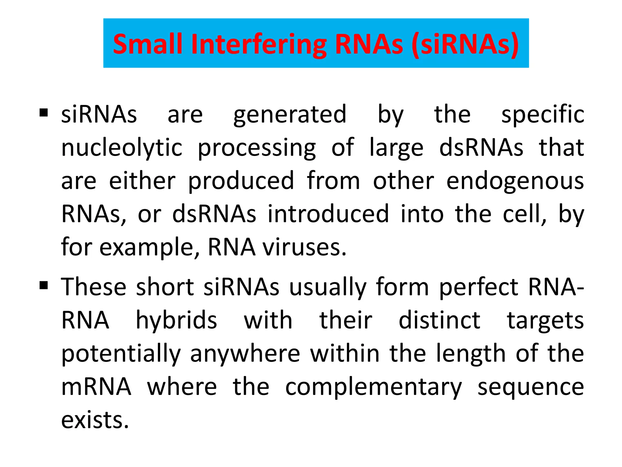 Small Interfering RNAs (siRNAs)
 siRNAs are generated by the specific
nucleolytic processing of large dsRNAs that
are either produced from other endogenous
RNAs, or dsRNAs introduced into the cell, by
for example, RNA viruses.
 These short siRNAs usually form perfect RNA-
RNA hybrids with their distinct targets
potentially anywhere within the length of the
mRNA where the complementary sequence
exists.
 