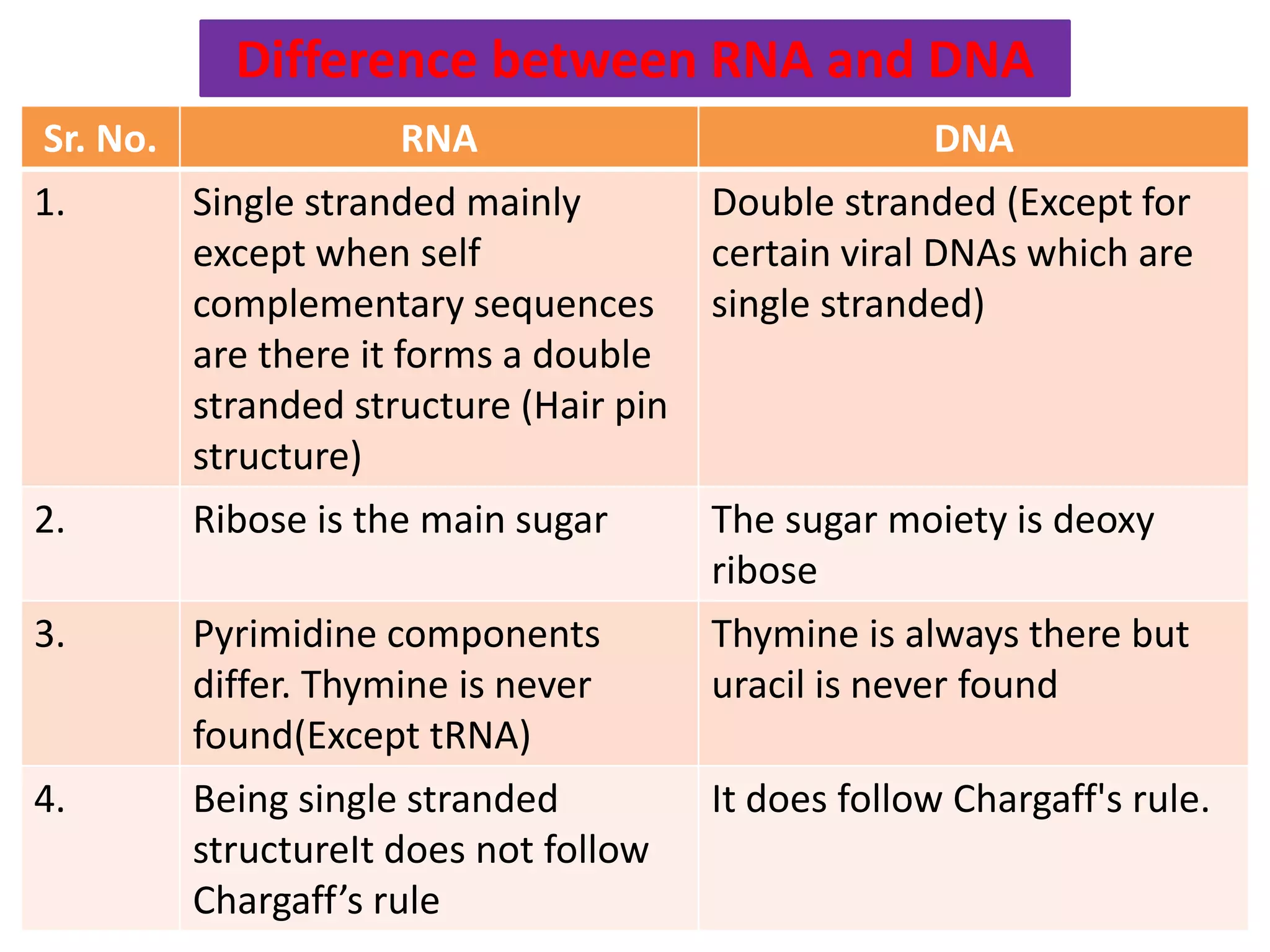 Sr. No. RNA DNA
1. Single stranded mainly
except when self
complementary sequences
are there it forms a double
stranded structure (Hair pin
structure)
Double stranded (Except for
certain viral DNAs which are
single stranded)
2. Ribose is the main sugar The sugar moiety is deoxy
ribose
3. Pyrimidine components
differ. Thymine is never
found(Except tRNA)
Thymine is always there but
uracil is never found
4. Being single stranded
structureIt does not follow
Chargaff’s rule
It does follow Chargaff's rule.
Difference between RNA and DNA
 