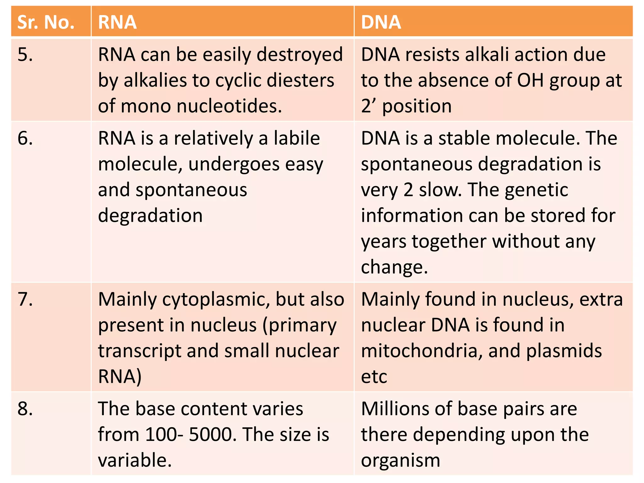 Sr. No. RNA DNA
5. RNA can be easily destroyed
by alkalies to cyclic diesters
of mono nucleotides.
DNA resists alkali action due
to the absence of OH group at
2’ position
6. RNA is a relatively a labile
molecule, undergoes easy
and spontaneous
degradation
DNA is a stable molecule. The
spontaneous degradation is
very 2 slow. The genetic
information can be stored for
years together without any
change.
7. Mainly cytoplasmic, but also
present in nucleus (primary
transcript and small nuclear
RNA)
Mainly found in nucleus, extra
nuclear DNA is found in
mitochondria, and plasmids
etc
8. The base content varies
from 100- 5000. The size is
variable.
Millions of base pairs are
there depending upon the
organism
 