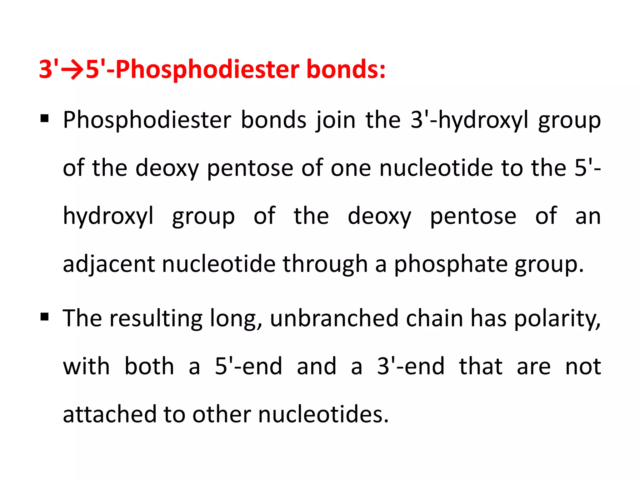 3'→5'-Phosphodiester bonds:
 Phosphodiester bonds join the 3'-hydroxyl group
of the deoxy pentose of one nucleotide to the 5'-
hydroxyl group of the deoxy pentose of an
adjacent nucleotide through a phosphate group.
 The resulting long, unbranched chain has polarity,
with both a 5'-end and a 3'-end that are not
attached to other nucleotides.
 