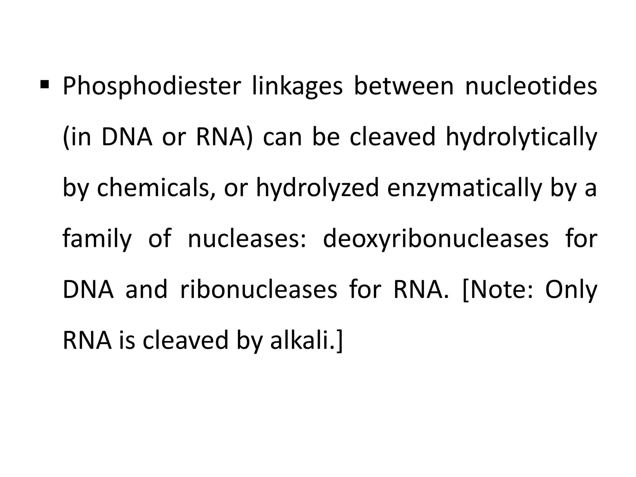  Phosphodiester linkages between nucleotides
(in DNA or RNA) can be cleaved hydrolytically
by chemicals, or hydrolyzed enzymatically by a
family of nucleases: deoxyribonucleases for
DNA and ribonucleases for RNA. [Note: Only
RNA is cleaved by alkali.]
 