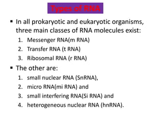 Nucleic acid structure and function | PPTX