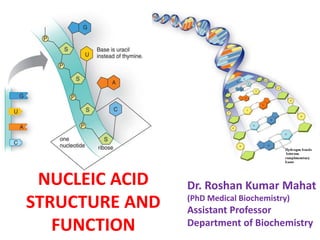 NUCLEIC ACID
STRUCTURE AND
FUNCTION
Dr. Roshan Kumar Mahat
(PhD Medical Biochemistry)
Assistant Professor
Department of Biochemistry
 