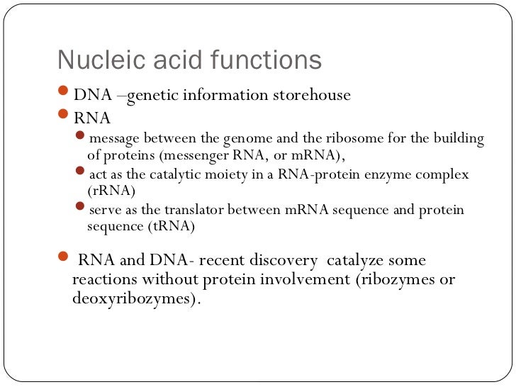 nucleic acid structures functions of nucleic acids