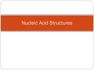 Nucleic Acid Structures
 