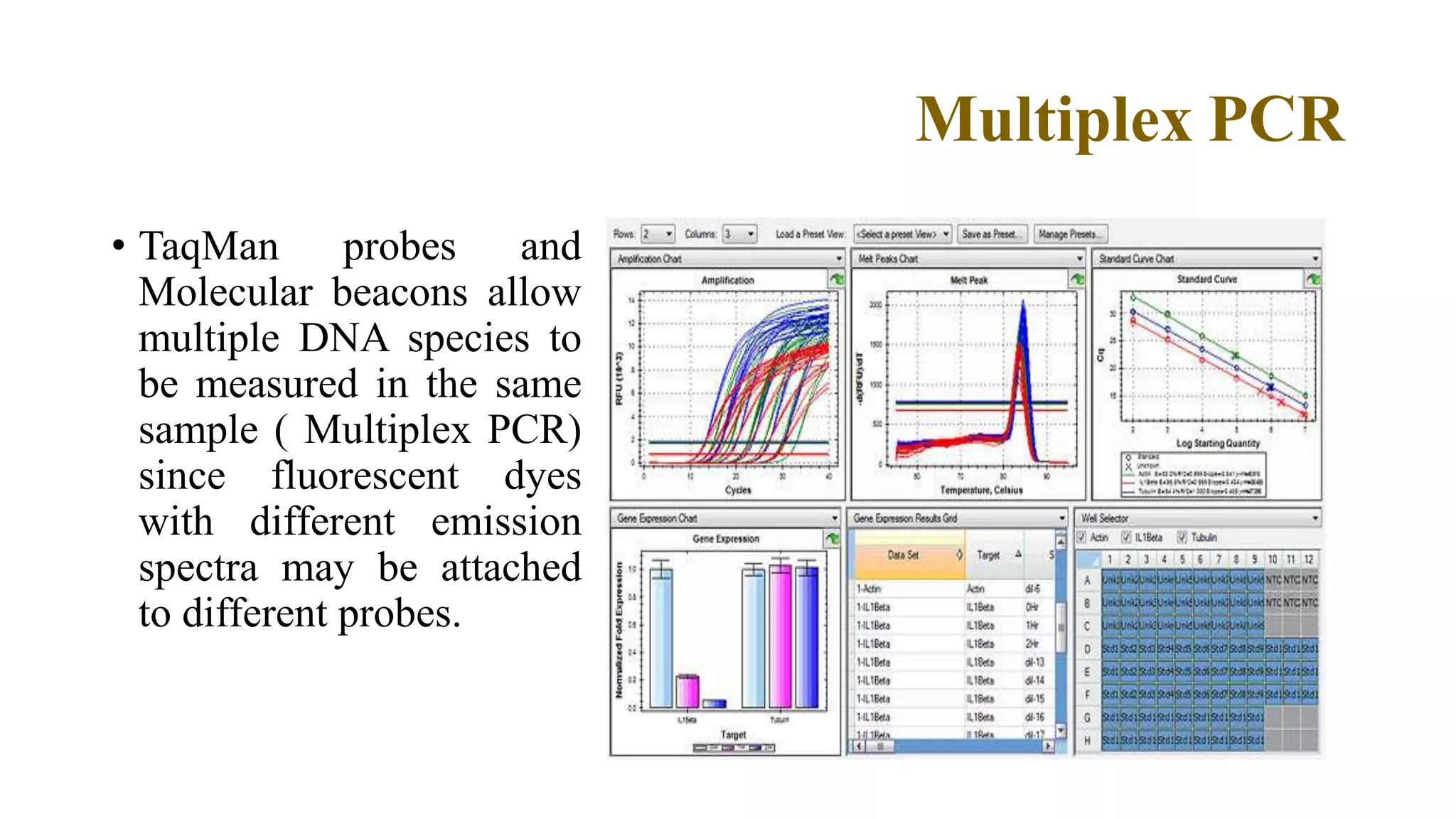 Nucleic acid techniques in diagnostic microbiology | PPTX