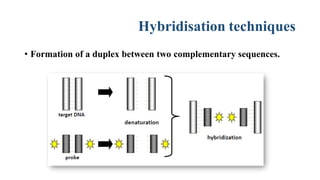Nucleic acid techniques in diagnostic microbiology | PPTX