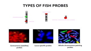 Nucleic acid techniques in diagnostic microbiology | PPTX