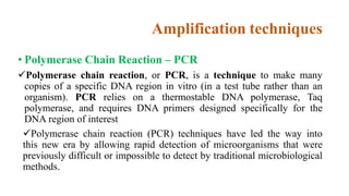 Nucleic acid techniques in diagnostic microbiology | PPTX