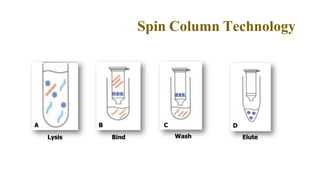 Nucleic acid techniques in diagnostic microbiology | PPTX