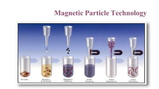 Nucleic acid techniques in diagnostic microbiology | PPTX