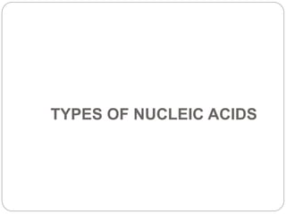 TYPES OF NUCLEIC ACIDS
 