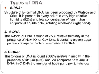 Types of DNA
1. B-DNA:
Structure of B-form of DNA has been proposed by Watson and
Crick. It is present in every cell at a very high relative
humidity (92%) and low concentration of ions. It has
antiparallel double helix, rotating clockwise (right hand).
2. A-DNA:
The A-form of DNA is found at 75% relative humidity in the
presence of Na+, K+ or Cs+ ions. It contains eleven base
pairs as compared to ten base pairs of B-DNA.
3. C-DNA:
The C-form of DNA is found at 66% relative humidity in the
presence of lithium (Lit+) ions. As compared to A-and B-
DNA, in C-DNA the number of base pairs per turn is less
 
