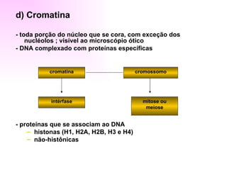 d) Cromatina

- toda porção do núcleo que se cora, com exceção dos
    nucléolos ; visível ao microscópio ótico
- DNA complexado com proteínas específicas


          cromatina                      cromossomo




           intérfase                       mitose ou
                                            meiose


- proteínas que se associam ao DNA
    – histonas (H1, H2A, H2B, H3 e H4)
    – não-histônicas
 