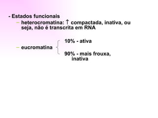 - Estados funcionais
   – heterocromatina: ↑ compactada, inativa, ou
     seja, não é transcrita em RNA

                     10% - ativa
   – eucromatina
                     90% - mais frouxa,
                       inativa
 