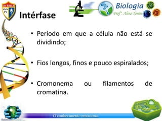 Intérfase
  • Período em que a célula não está se
    dividindo;

  • Fios longos, finos e pouco espiralados;

  • Cromonema       ou     filamentos    de
    cromatina.
 