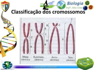 Classificação dos cromossomos
 