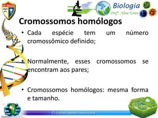 Cromossomos homólogos
• Cada   espécie tem       um   número
  cromossômico definido;

• Normalmente, esses cromossomos se
  encontram aos pares;

• Cromossomos homólogos: mesma forma
  e tamanho.
 