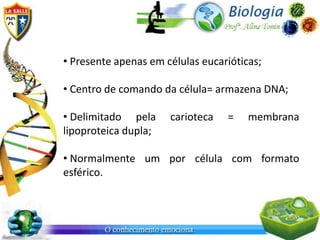 • Presente apenas em células eucarióticas;

• Centro de comando da célula= armazena DNA;

• Delimitado pela     carioteca   =    membrana
lipoproteica dupla;

• Normalmente um por célula com formato
esférico.
 