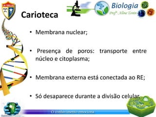 Carioteca
  • Membrana nuclear;

  • Presença de poros: transporte entre
    núcleo e citoplasma;

  • Membrana externa está conectada ao RE;

  • Só desaparece durante a divisão celular.
 