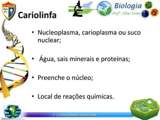 Cariolinfa
   • Nucleoplasma, carioplasma ou suco
     nuclear;

   • Água, sais minerais e proteínas;

   • Preenche o núcleo;

   • Local de reações químicas.
 