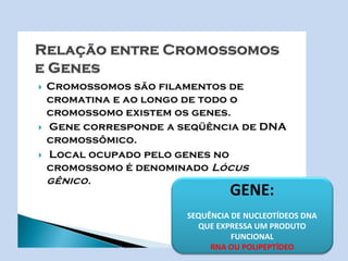 GENE: SEQUÊNCIA DE NUCLEOTÍDEOS DNA QUE EXPRESSA UM PRODUTO FUNCIONAL RNA OU POLIPEPTÍDEO  