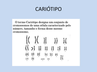 CARIÓTIPO 
 