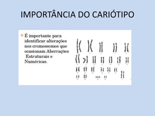 IMPORTÂNCIA DO CARIÓTIPO 
 