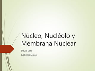 Núcleo, Nucléolo y
Membrana Nuclear
David Lara
Gabriela Malca
 
