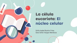La célula
eucariota: El
núcleo celular
Sofia Isabel Butrón Frías
Sara Sofia Vargas Mendoza
 