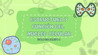 ESTRUCTURA Y
ESTRUCTURA Y
FUNCIÓN DEL
FUNCIÓN DEL
NUCLEO CELULAR
NUCLEO CELULAR
BIOLOGIAEQUIPO6
BIOLOGIAEQUIPO6
 