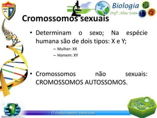 Cromossomos sexuais
 • Determinam o sexo; Na espécie
   humana são de dois tipos: X e Y;
       – Mulher: XX
       – Homem: XY



 • Cromossomos    não    sexuais:
   CROMOSSOMOS AUTOSSOMOS.
 
