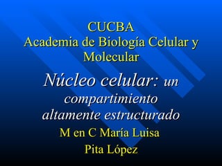 CUCBA Academia de Biología Celular y Molecular Núcleo celular:  un compartimiento altamente estructurado M en C María Luisa  Pita López 