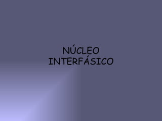NÚCLEO INTERFÁSICO 