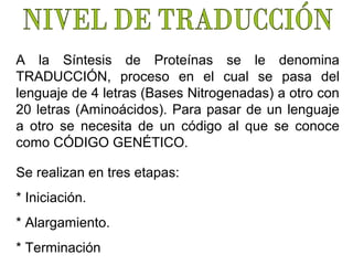 A la Síntesis de Proteínas se le denomina
TRADUCCIÓN, proceso en el cual se pasa del
lenguaje de 4 letras (Bases Nitrogenadas) a otro con
20 letras (Aminoácidos). Para pasar de un lenguaje
a otro se necesita de un código al que se conoce
como CÓDIGO GENÉTICO.
Se realizan en tres etapas:
* Iniciación.
* Alargamiento.
* Terminación

 