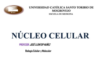 UNIVERSIDAD CATÓLICA SANTO TORIBIO DE
                      MOGROVEJO
                               ESCUELA DE MEDICINA




NÚCLEO CELULAR
 PROFESOR JOSÉ LLONTOP NUÑEZ

      Biología Celular y Molecular
 