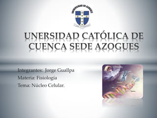 Integrantes: Jorge Guallpa 
Materia: Fisiología 
Tema: Núcleo Celular. 
 